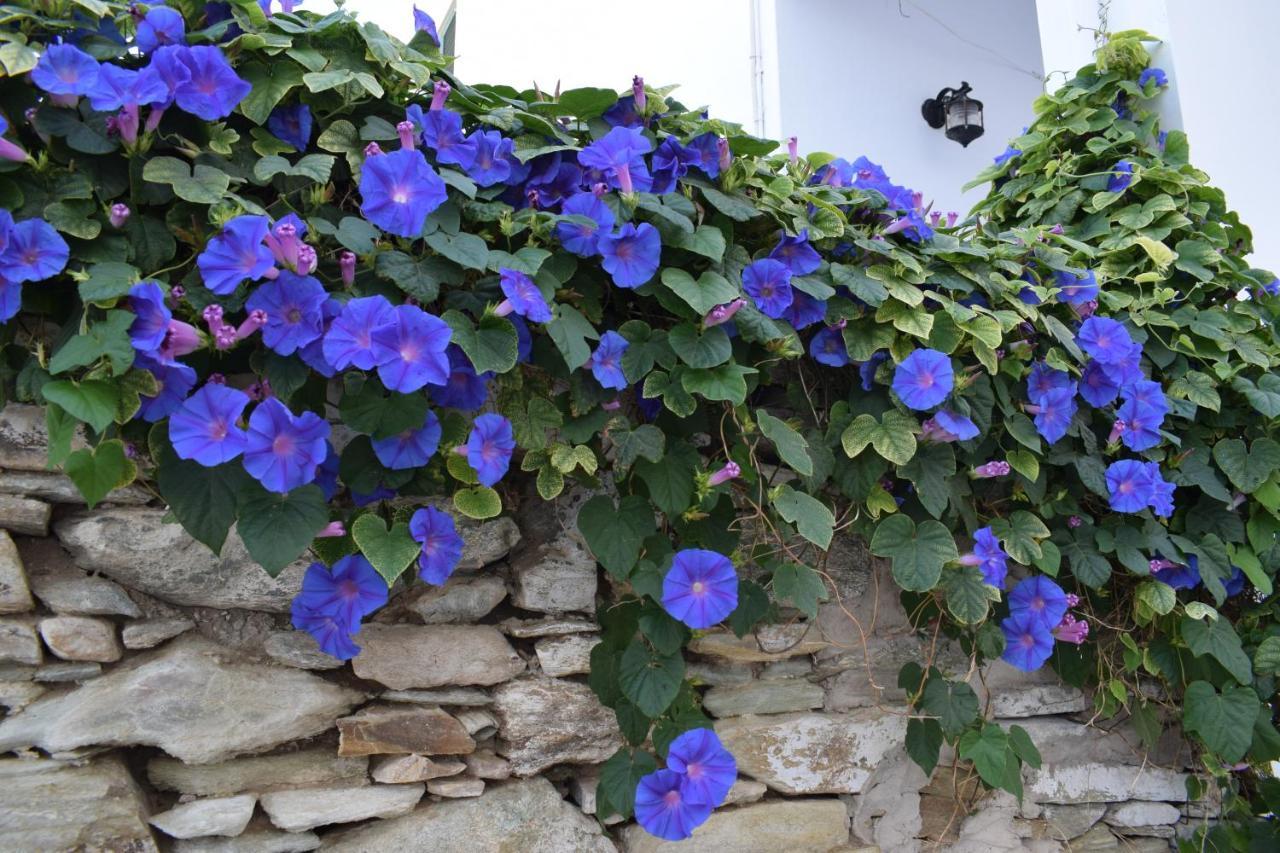 Pallada Rooms Tinos Island ภายนอก รูปภาพ